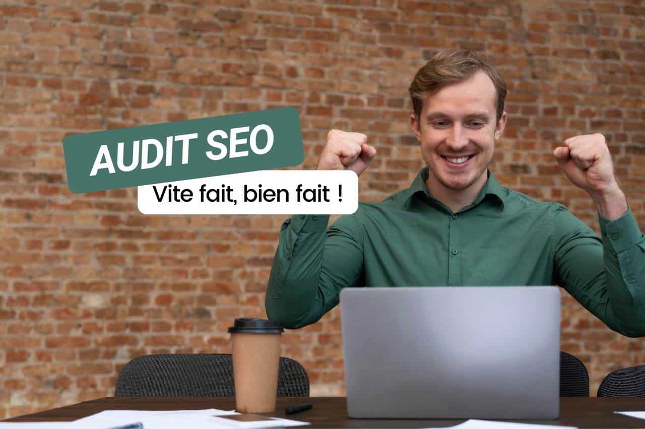 audit-seo-express