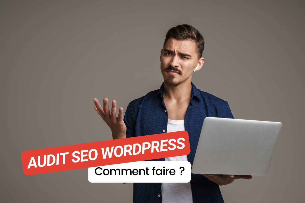 audit-seo-wordpress