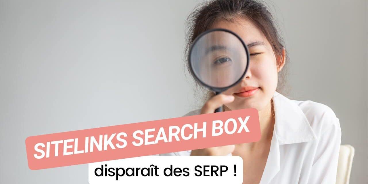 Sitelinks Search Box : Google efface la fonctionnalité en novembre !