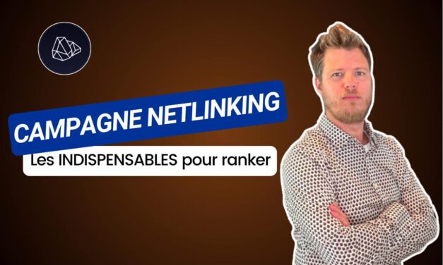 Campagne de netlinking : les indispensables pour ranker