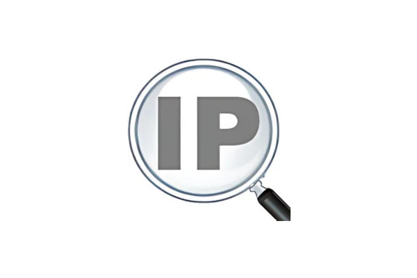 IP Address and Domain Information x Abondance