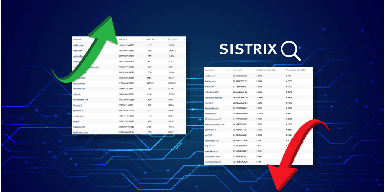 SEO France : les sites gagnants et perdants de 2024