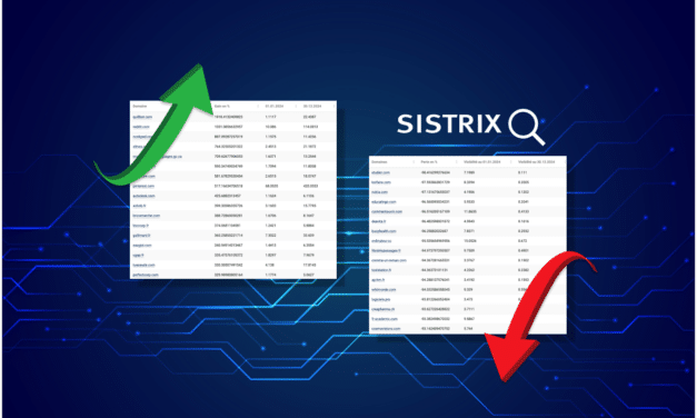 SEO France : les sites gagnants et perdants de 2024